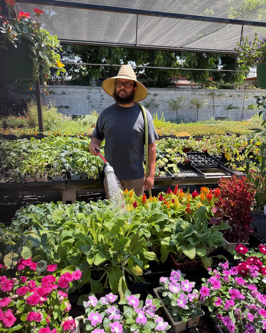 Javier Martinez at Lincoln Avenue Nursery