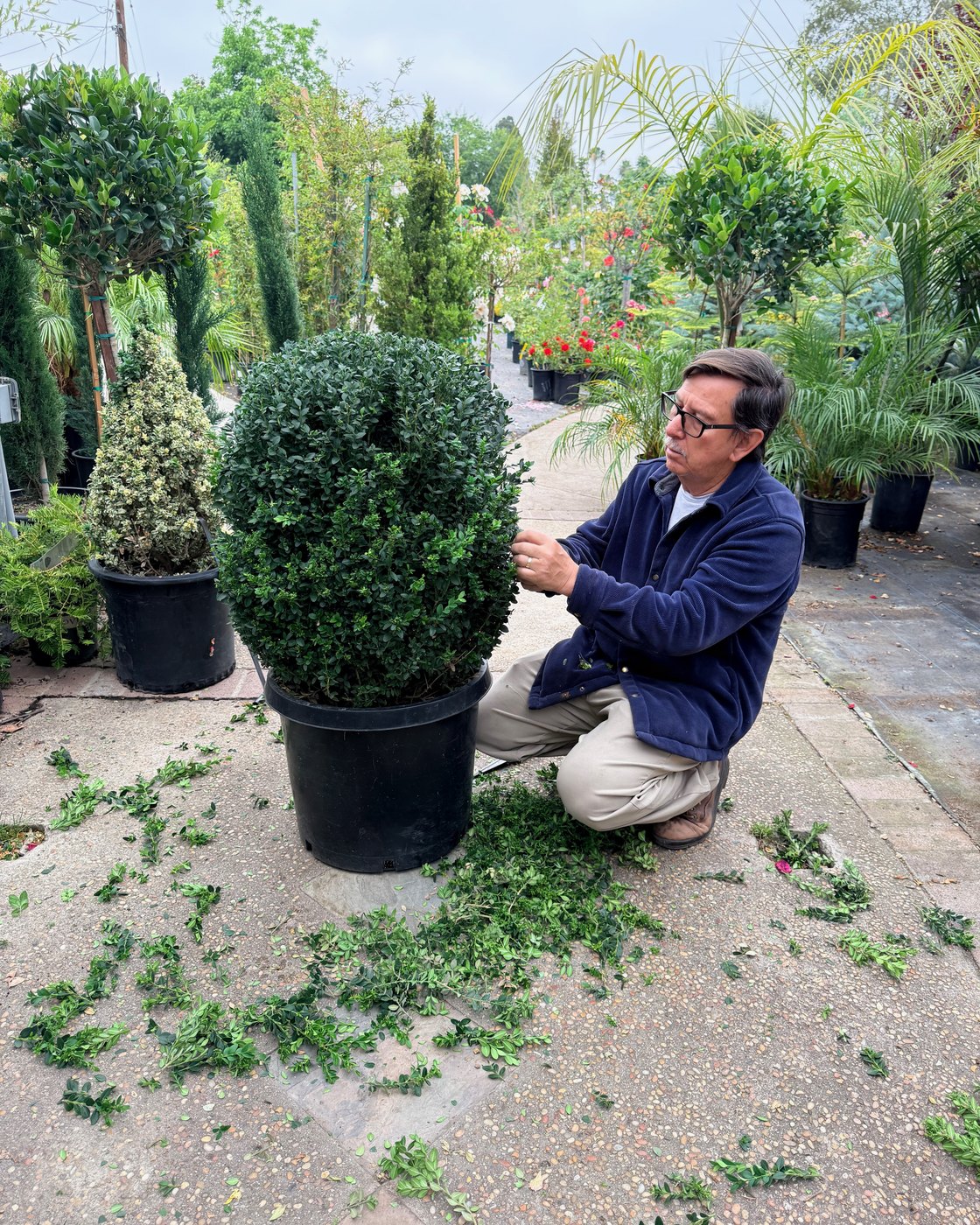 Ramon Franco at Lincoln Avenue Nursery