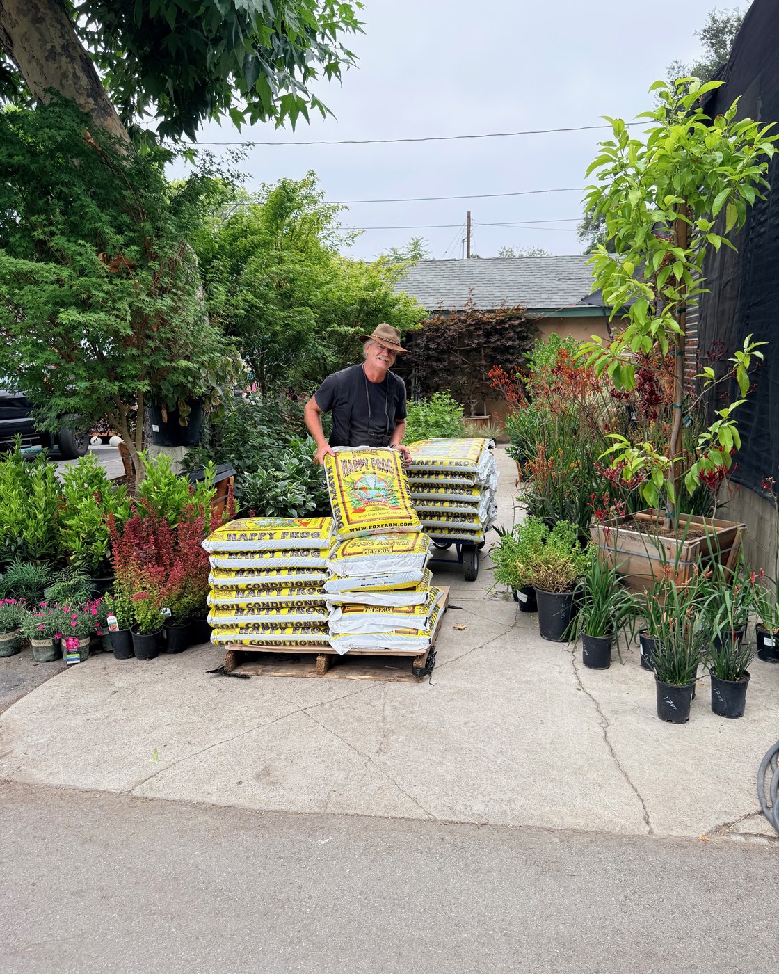 Steve Reich at Lincoln Avenue Nursery