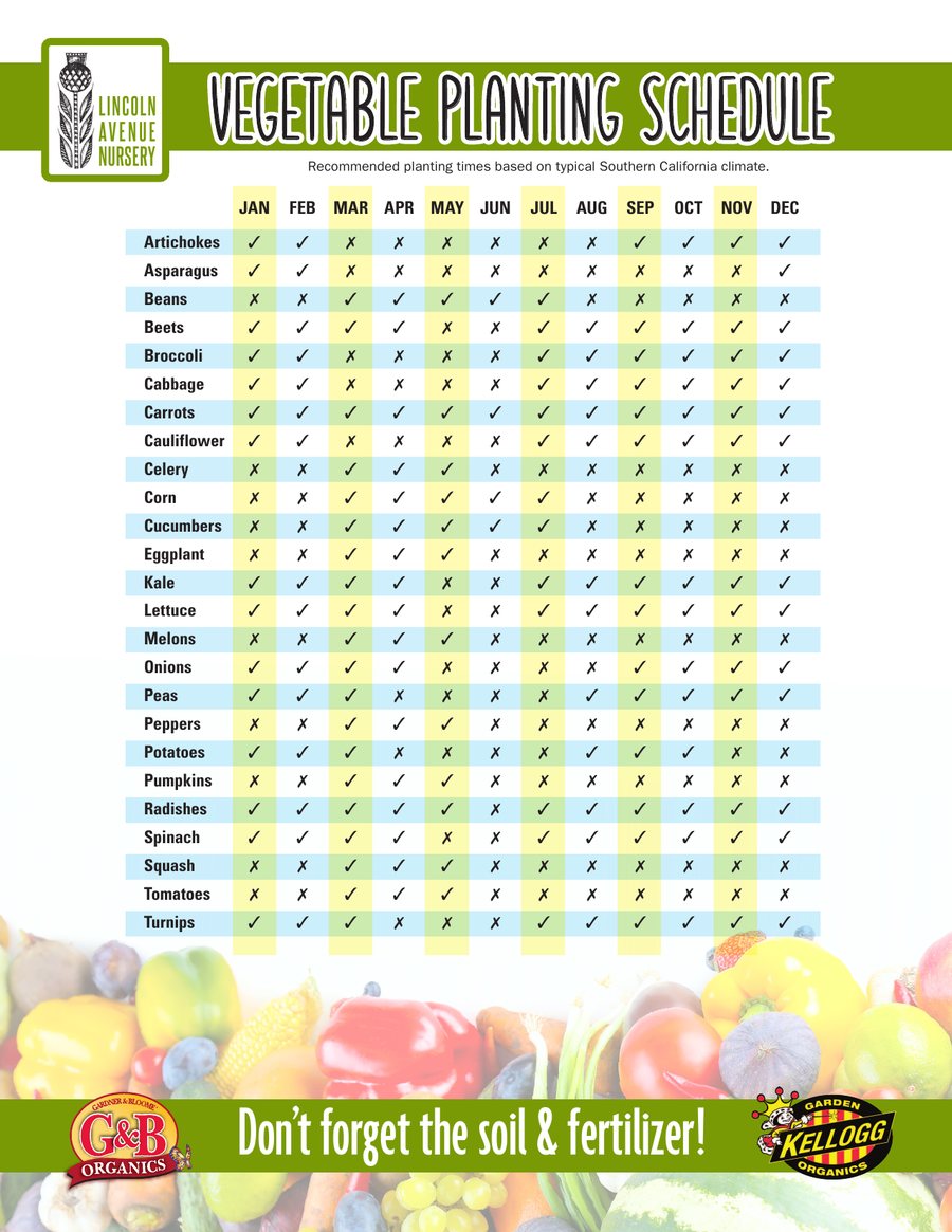 Preview of the Lincoln Avenue Nursery Vegetable Planting Schedule PDF
